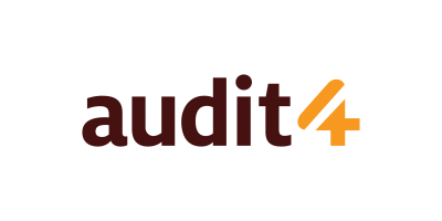 Audit 4