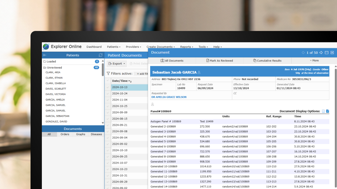 Explorer Online software interface