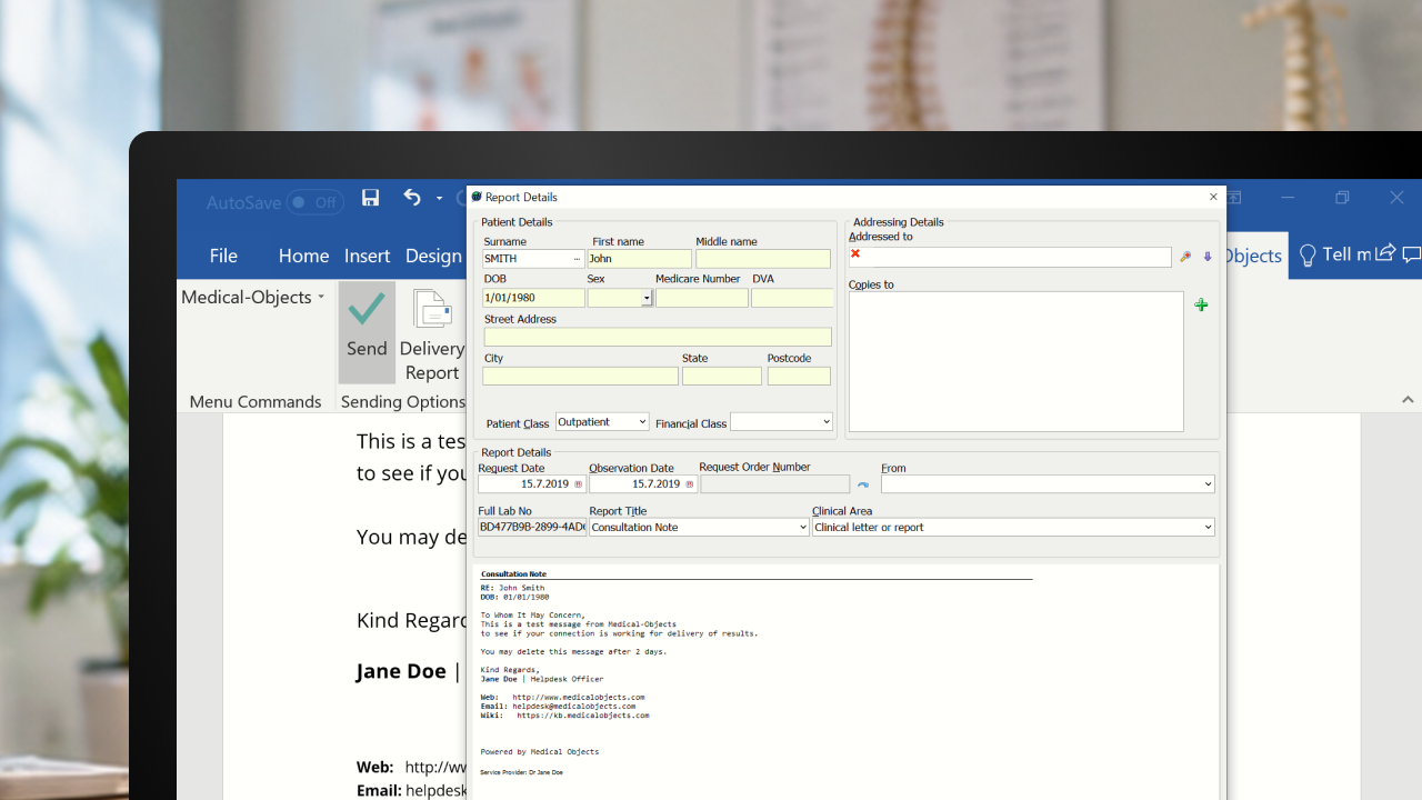 Word Plug-in software interface